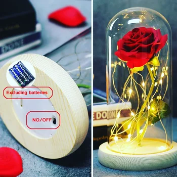 Krása Růže a Zvíře Věčné růže Umělá květina String Světlo Stolní Lampa Romantický Valentýn Dekorace Vánoční dárek