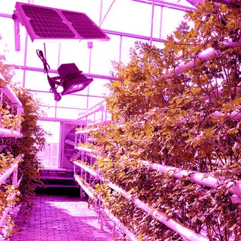 Led COB solární panel Růst rostlin světlo s 50W COB světlo Velké velikosti fotovoltaické solární panel forgrow stanu vnitřní růst rostlin