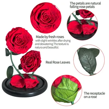 Dropshiping 2 Hlavy Věčné Růže V Dome Sklo Kráska a Zvíře Enhanched Rose Umělé Květiny pro Její Valentine Dárek