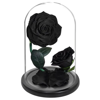 Dropshiping 2 Hlavy Věčné Růže V Dome Sklo Kráska a Zvíře Enhanched Rose Umělé Květiny pro Její Valentine Dárek
