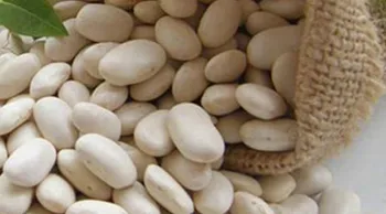 Doprava zdarma bílé fazole enzymu podstatu sacharidů blocker 90 tablet blokovat škrob, cukry