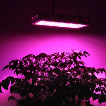 VA Černá 1800W Dvakrát Čipy Full Spectrum Vysoký Výnos LED Světla Rostou Pro Pokojové rostliny, Hydroponie rostou systému