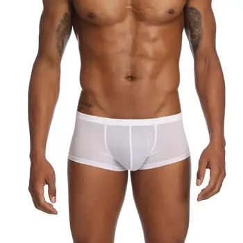 4ks Pánské spodní Prádlo Sexy Transparentní Kufru Prodyšné Kvalitní Led Hedvábí Kalhotky Pro muže Značka, Dárek, Boxer Homme