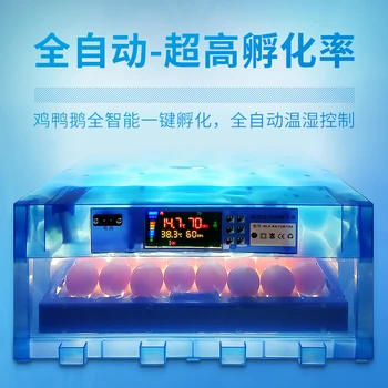 Automatické Vejce Inkubátor Čína Duální Napájení Incubadora Barevný Displej Couveuse s Multi-funkce Váleček Zásobníku