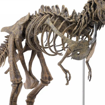 Velké Dinosauří Fosilní Lebky Zvířecí Model Hračky Tyrannosaurus Rex Sestavit Kostru Modelu Bytové Textilie, Dekorace