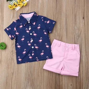 Batole Děti Chlapci Gentleman Oblečení Set Dítě Costuems Flamingo Tričko+Šortky Letní Oblečení