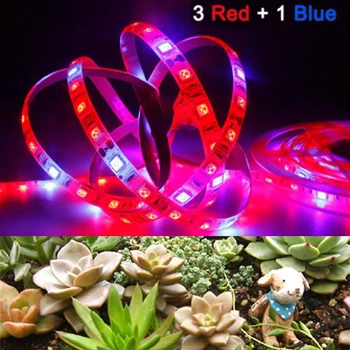 LED Grow Světlo, Full Spectrum 5M LED pásek Světlo 5050 LED Plant Phyto Růst Lampa