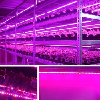 LED Grow Světlo, Full Spectrum 5M LED pásek Světlo 5050 LED Plant Phyto Růst Lampa