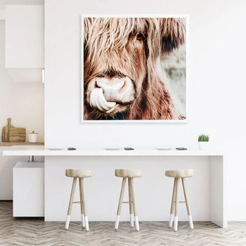 Divoké Zvíře Highland Kráva Plakát Malířské Plátno Tisků Umění Nástěnné Obrázky pro Obývací Pokoj Dekor Bez Rámu
