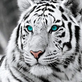 5D DIY Diamantový Mozaika Výšivka tygra