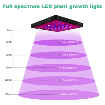 2835 LED Grow Light 2000W celé Spektrum Phytolamp Pro Pokojové Rostliny 265V Phyto Růst Lampy Hydroponie Phytolamp Pro Rostliny