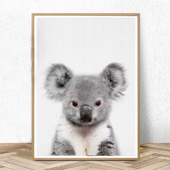 Kookaburra Tisk Australský Školka Animal Decor Baby Zvířata Plakáty a Tisky Nástěnné Malby, Obrazy Děti Ložnice Dekorace