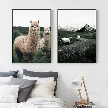 Lama alpaka Ovce Zvíře Plakát Nordic Styl Plátno, Tisk na Šířku Umění Malování na Zeď Obraz pro Moderní Obývací Pokoj Dekorace