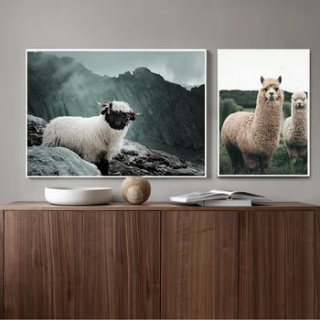 Lama alpaka Ovce Zvíře Plakát Nordic Styl Plátno, Tisk na Šířku Umění Malování na Zeď Obraz pro Moderní Obývací Pokoj Dekorace