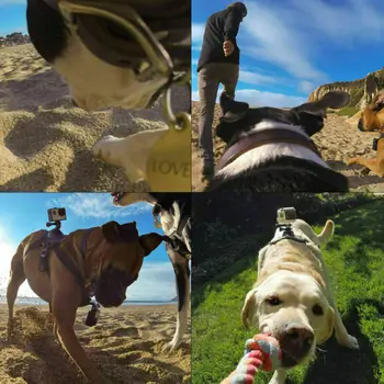 NOVÉ Pet Pes Postroj Hrudní Načíst Popruh Mount Pro GoPro Hero 7 6 5 4 3 Sportovní Kamery