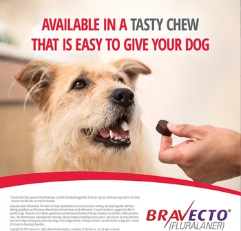 Bravecto žvýkací pamlsky pro Psy, 22-44 kg(10-20kg), 1 ošetření (Green Box)