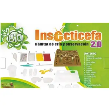 Hmyz hra, Insecticefa, chov hmyzu sledování, hmyzu kit, zvířata, biologie, zvířecí hračky, biologie, hmyz,