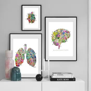 Anatomie Srdce, Mozku Abstrakt Medicína Zeď Umění Tisk Malířské Plátno Nordic Plakáty A Tisky Zeď Obrázky Pro Obývací Pokoj