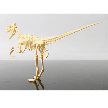 3D kostra DIY montáž modelů dinosaurů plast kost hračka pro děti,Triceratops/stegosaurus/velociraptor/mamut pro výběr