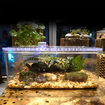 HONGYI 1 kus plastové průhledné hmyzu, plazů, chov, krmení box velká kapacita akvárium habitat vana želva nádrž platformu