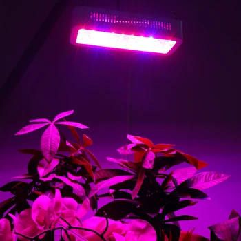 Full Spectrum LED Světla Rostou Panel 300W Phytolamp Pro Pokojové Rostliny, Květiny Pěstování Sazenice Rostou Stan Kompletní sada