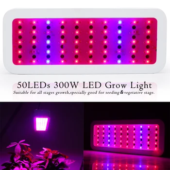 Full Spectrum LED Světla Rostou Panel 300W Phytolamp Pro Pokojové Rostliny, Květiny Pěstování Sazenice Rostou Stan Kompletní sada