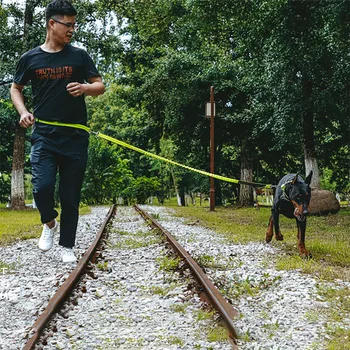 Reflexní vodítko pro Psa běh jogging Pet vést nastavitelný procházky ruku zdarma Bederní Pás Pes trakční lano pro Malé a Velké Psy