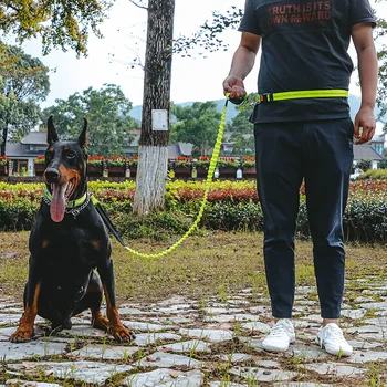 Reflexní vodítko pro Psa běh jogging Pet vést nastavitelný procházky ruku zdarma Bederní Pás Pes trakční lano pro Malé a Velké Psy