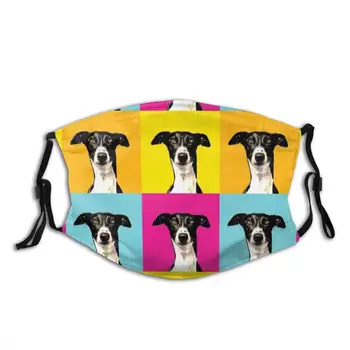 Barevné Pop Art Greyhound Na Oranžová Žlutá Modrá A Růžová Vtipné Cool Tkanina Maska Chrtů Chrti Chrti Lurcher