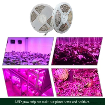 5m celé Spektrum Růst Rostlin LED Strip Světlo 5050 Čip, LED Grow Lampy Pro Skleníkových Hydroponické Rostliny