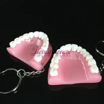 2ks Zubní Klinika Dárek Zuby Model Keychain Zubní Přívěšek na klíče Kroužek Růžový