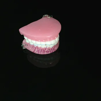 2ks Zubní Klinika Dárek Zuby Model Keychain Zubní Přívěšek na klíče Kroužek Růžový