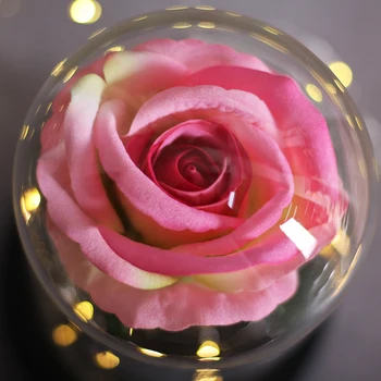 LED Věčná Nesmrtelná Květina Flora Světle Až Dome Kráska a Zvíře Vzrostl V Baňce Valentýna, Narozeniny, Vánoce Dárek