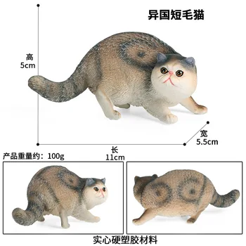 Krátkosrsté Kočky, Model Akční Obrázek domácí Zvířata, Zvířecí Figurky, Kolekce PVC Děti Kognitivní Hračky