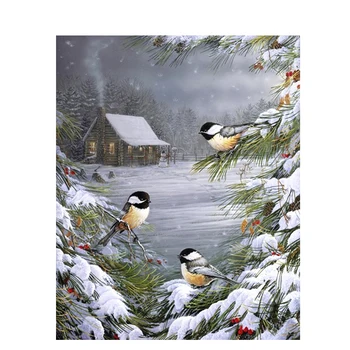 Pták Malování Podle čísel Sněhu Na Plátně S Rámem 40x50 Pro Kreslení DIY Řemeslo Kit Pro Dospělé Barvení Obrázek Číslo Domů Dekor