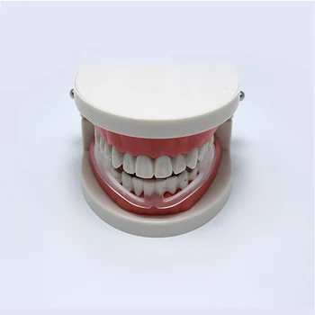 Spací skřípání zubů v Ústech Stráže Zastavit skřípání Zubů Anti-Chrápání Food-grade Náustek Lepší Dech Spánku Pomoc Box