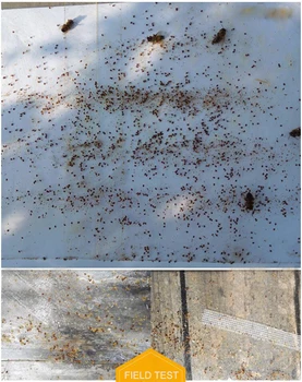 MUŽNÝ čistý organický aerosol zabít včelí varroa 550 ml včela lék s Rostlin esenciální olej Thymol během zlato toku období