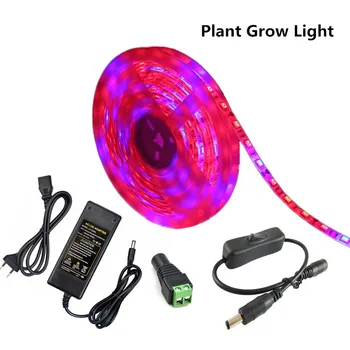 LED Grow světlo, Full Spectrum 12V SMD 5050 LED Strip světlo Květ Rostlin, Fyto Růstu Pro Skleníkových Hydroponické Pěstování Rostlin Nastavit